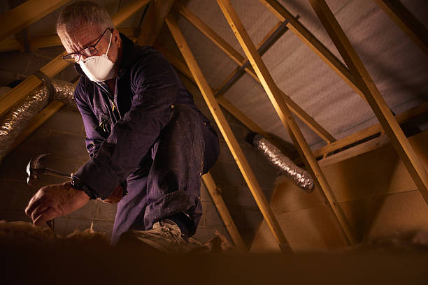 Best Cellulose Insulation in Tullytown, PA